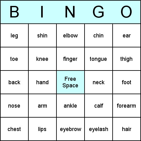 Body Parts Bingo Card